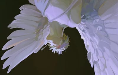 SHIBUYA ANGEL - Gojo Satoru x You