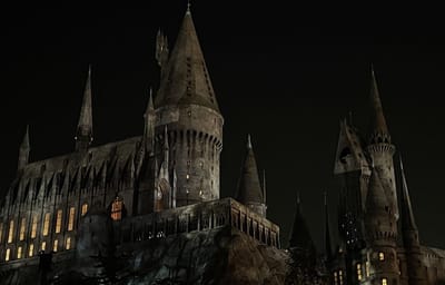 Hogwarts: The Foundling's Year