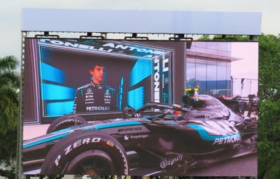 Formula 1 Racing Hearts