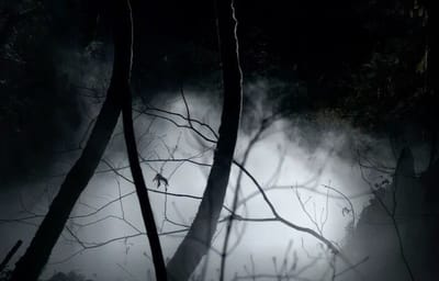 Mystic Falls Rewritten