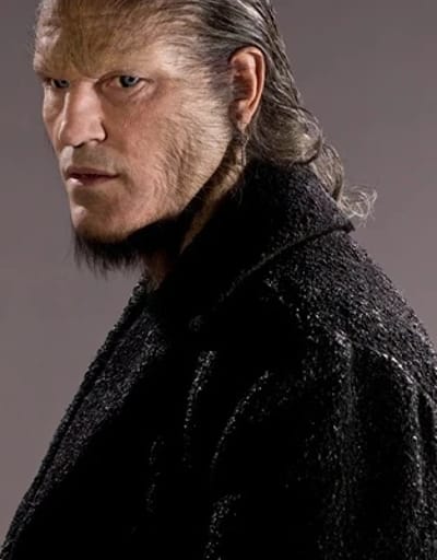 Greyback