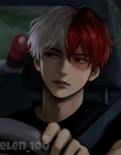 Shoto Todoroki